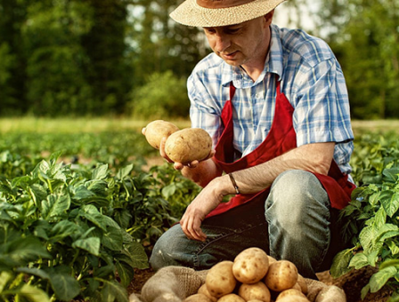 Yeni Yılın İlk Ayında İstanbul'da Kültür Sanat Etkinlikleri